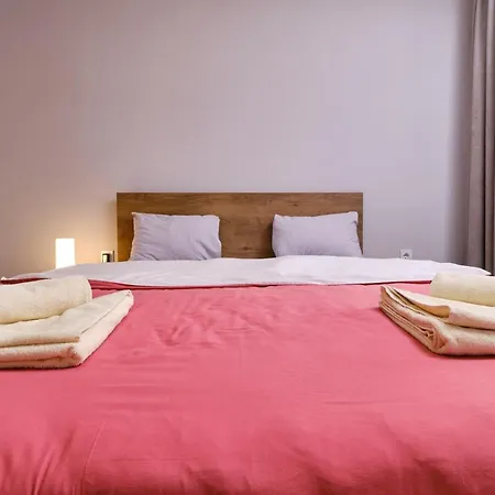 Cozy 1-bed Apartment