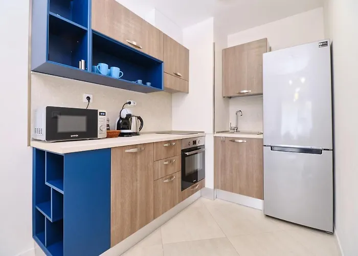 Cozy 1-bed 普罗夫迪夫