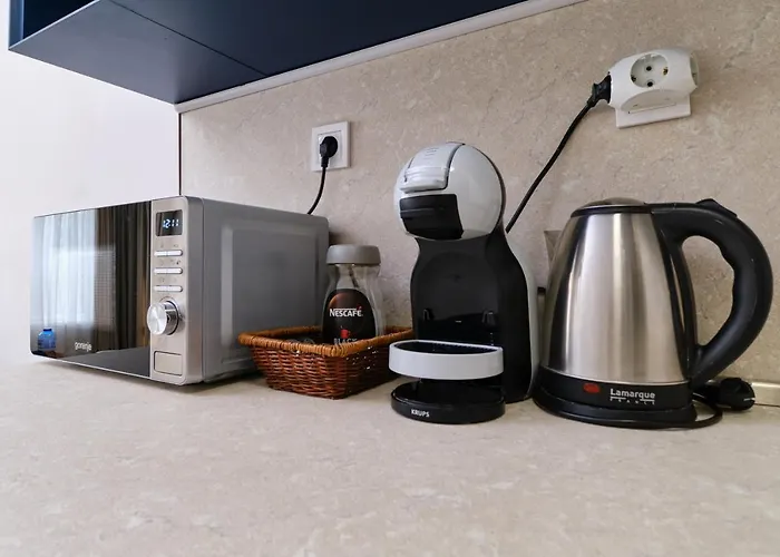 Cozy 1-bed 普罗夫迪夫